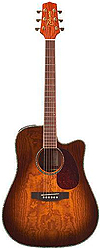 Takamine EG-333 C-LTD Westerngitarre