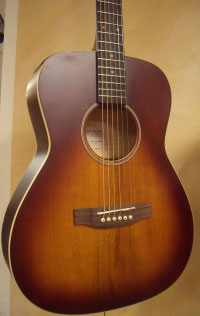Takamine EG-5013 SVF Violin Tabacco Burst