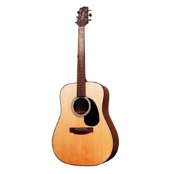 Takamine G-320 S Westerngitarre
