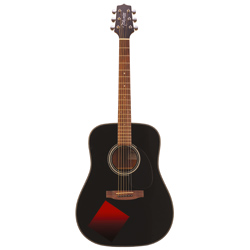 Takamine GS-320 BBS Westerngitarre