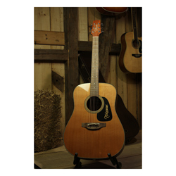 Takamine P1D Westerngitarre