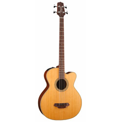 Takamine TB-240SC-NS Akustikbass