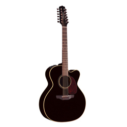 Takamine TF281DLX 12string Westerngitarre