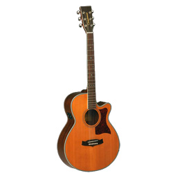 Tanglewood 45NSB Sundance Westerngitarre