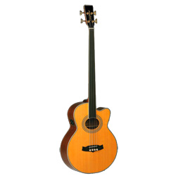 Tanglewood 55 AB FR-B Sundance Acoustic Bass Fretless