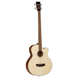 Tanglewood B1CE  Evolution Acoustic Bass