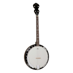 Tanglewood TB24DLXT Union Banjo 