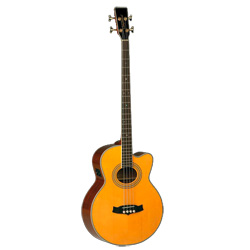 Tanglewood TW55 AB Sundance Acoustic Bass