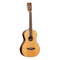 Tanglewood TWJPE Westerngitarre