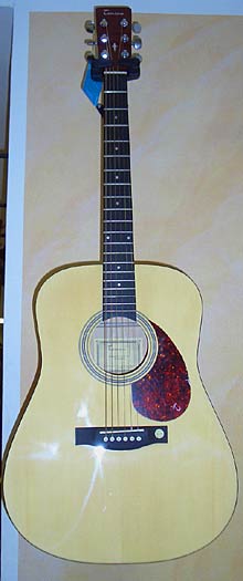 Tenson D10 CE NA Westerngitarre