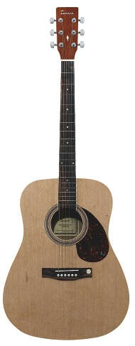 Tenson D10 Westerngitarre 