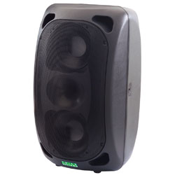 Voice Systems PROTEUS LIVE aktiv