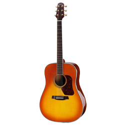 WALDEN CD-640 ACS Concorda LTD Edition Westerngitarre