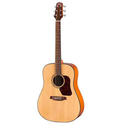 Walden CD-550 Concorda Westerngitarre