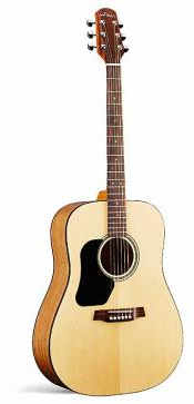 Walden D-350 L Standard natur lefthand