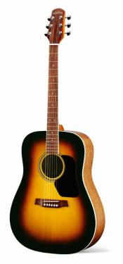 Walden D-350 SN Standard tobacco