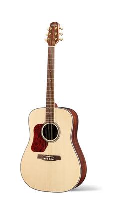 Walden D-610L Natura lefthand Linkshänder-Dreadnought.