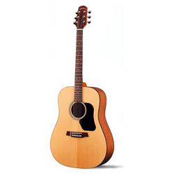 Walden D350 Standard Westerngitarre