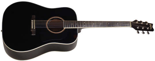 Washburn D 10 S Black