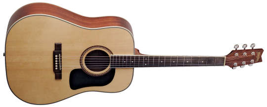 Washburn D 10 S Natur
