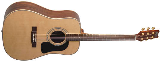 Washburn D 10 SDL Natur